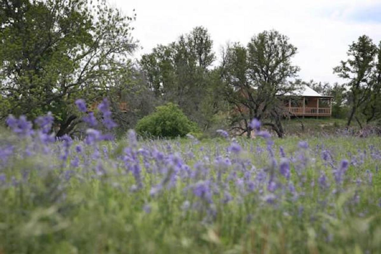 City On A Hill At Spring Creek Fredericksburg Bagian luar foto